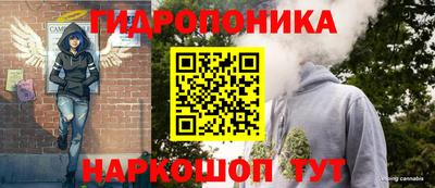 индика Краснокаменск