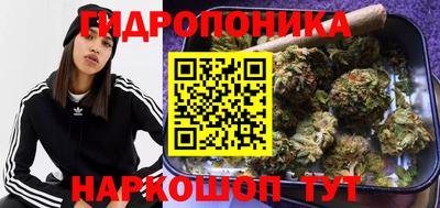 индика Краснокаменск