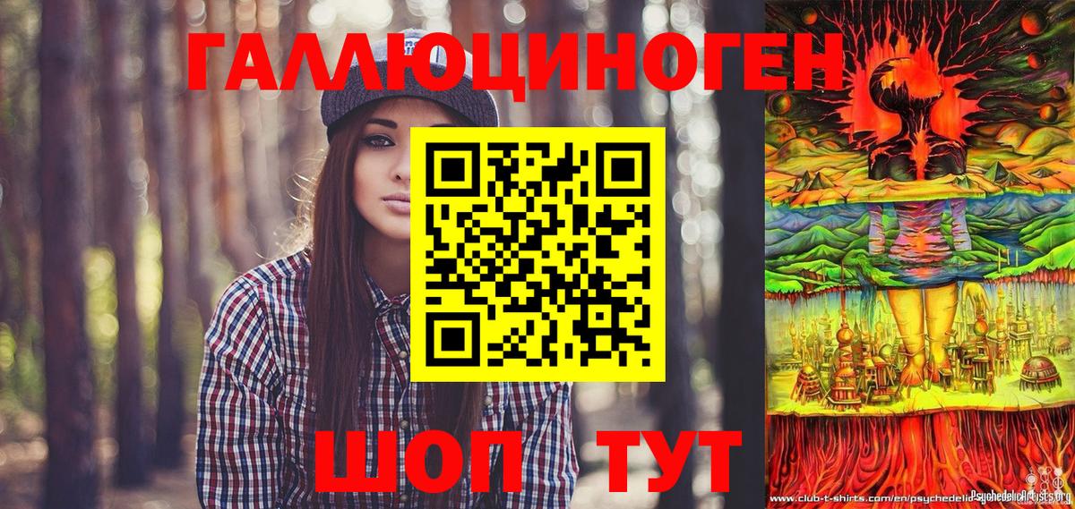 Галлюциногенные грибы Psilocybe Кольчугино