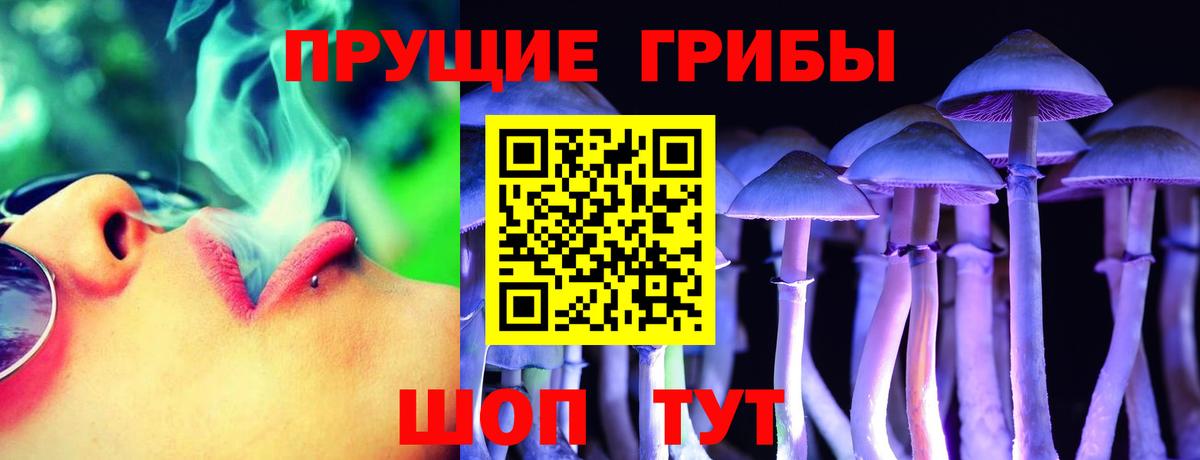 Кольчугино  Псилоцибиновые грибы Psilocybine cubensis  продажа наркотиков  Вход с VPN 